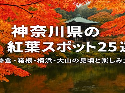 神奈川県の紅葉スポット25選｜鎌倉・箱根・横浜・大山の見頃と楽しみ方