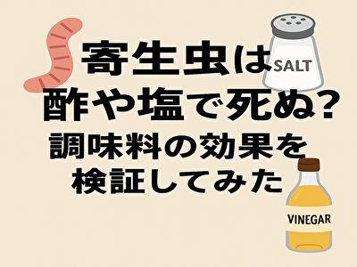 寄生虫は酢や塩で死ぬ？調味料の効果を検証してみた
