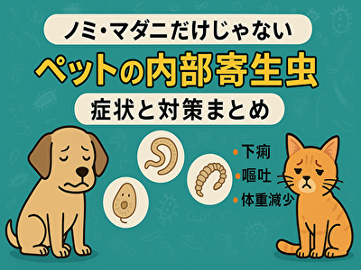 ペットがかかる内部寄生虫とは？種類・症状・駆除・予防法を徹底解説！
