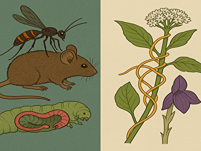 寄生って本当に怖いだけ？動物と植物に見る意外な真実とは