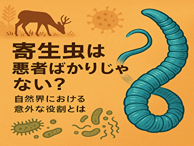 寄生虫は本当に悪者？自然界と人間に与える意外なメリットとは