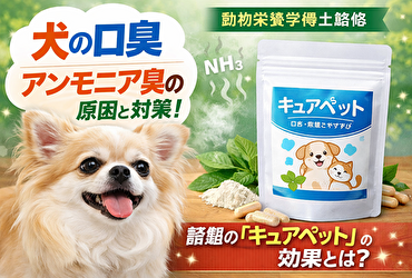 口臭が消えた!? 犬の腸内環境から改善する「キュアペット」って実際どう？