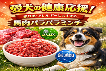 【100万食突破】愛犬の健康を守る！馬肉パラパラミンチが選ばれる5つの理由